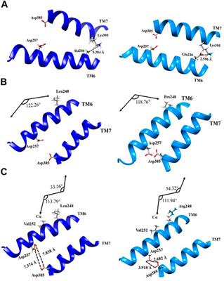 Protein Predictive Modeling and Simulation of Mutations of Presenilin-1 Familial Alzheimer’s Disease on the Orthosteric Site